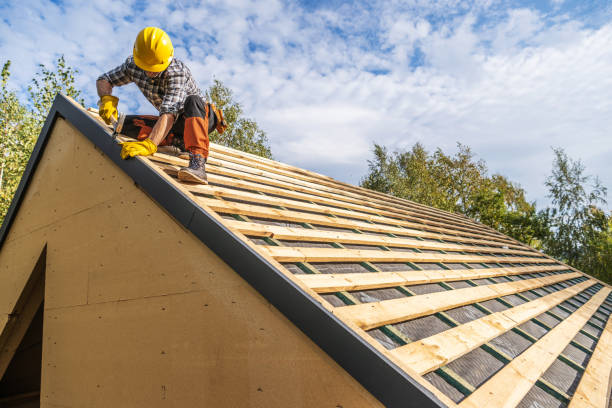 Best Roof Inspection Near Me  in Carrier Mls, IL