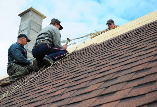 Best Shingle Roofing Installation  in Carrier Mls, IL