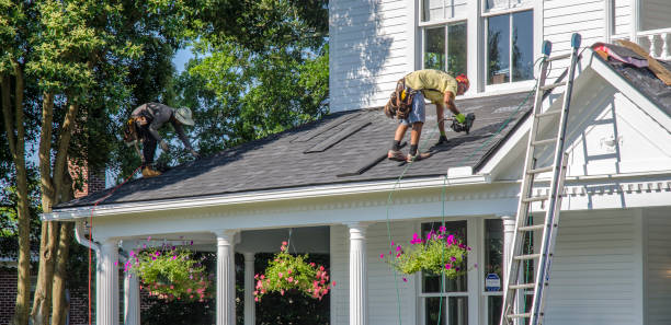 Best Metal Roofing Contractor  in Carrier Mls, IL