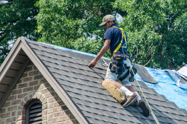 Best Roofing Contractors for Homes  in Carrier Mls, IL