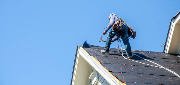 Best Roofing Contractor Near Me  in Carrier Mls, IL